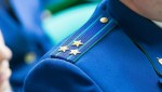 Вступил в силу приговор в отношении предпринимателя из Печорского района, признанного виновным в незаконной рубке лесных насаждений